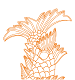 『名古屋城』オリジナルクラフトビール ホッピングシャチ